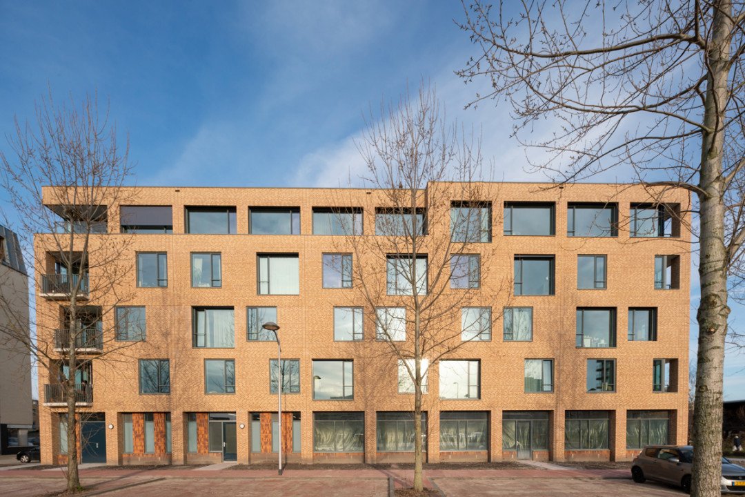 Haring / 1221-Delft