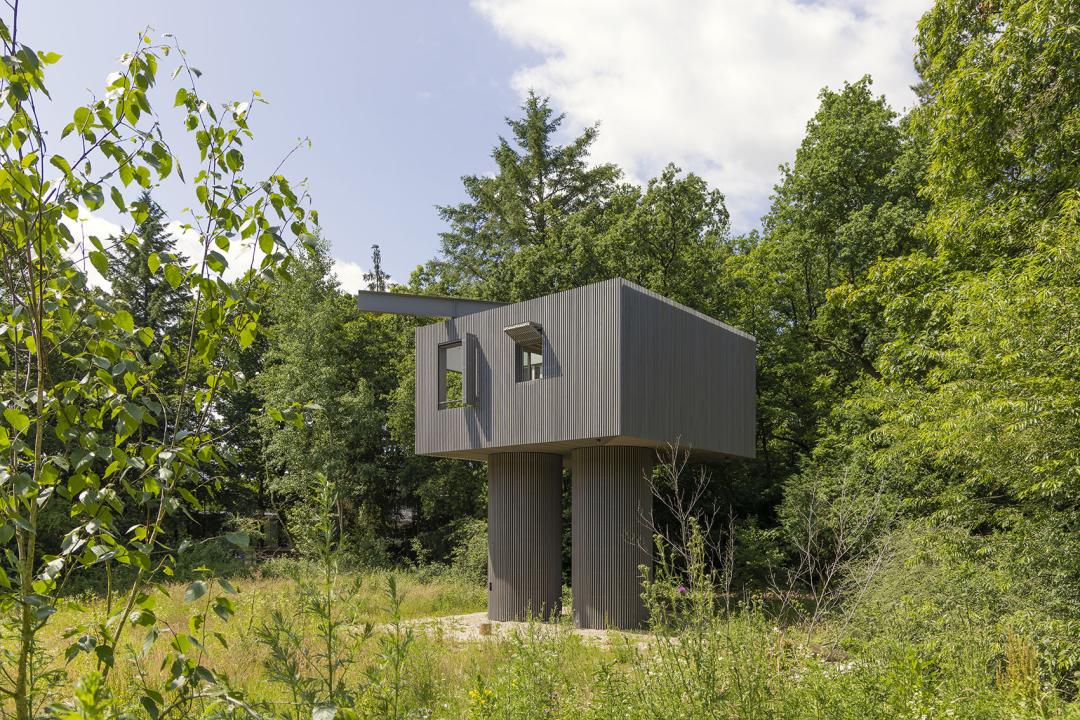 Boshut op poten Dolmen
